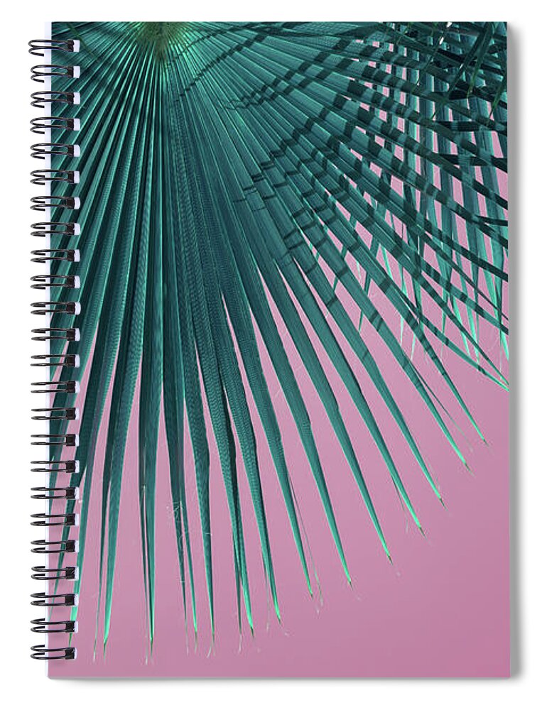 Palm Leaf Spiral Notebook featuring the photograph Blue-green palm leaf and pink sky, summer season by Adriana Mueller