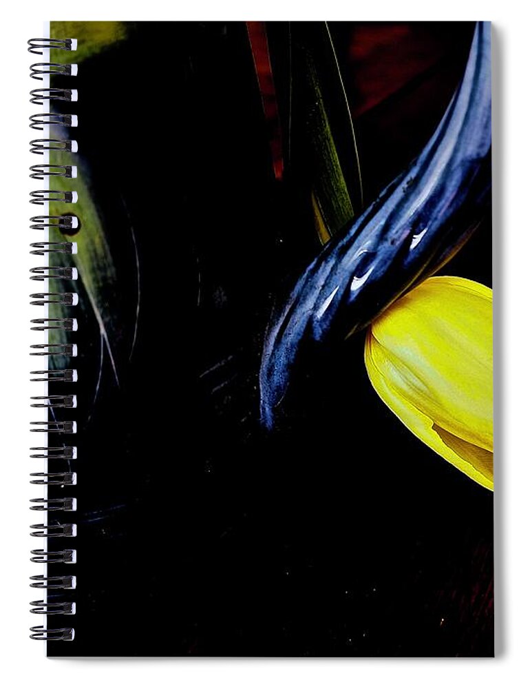 Flower Spiral Notebook featuring the photograph Blue Handle and Tulip by Alida M Haslett