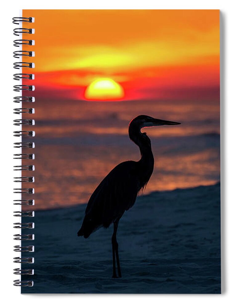 Great Spiral Notebook featuring the photograph Blue Heron Beach Sunset by Beachtown Views