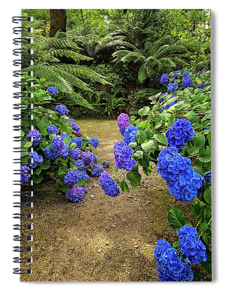 Hydrangeas Spiral Notebook featuring the photograph Blue Hydrangeas of Aveleda by Jill Love