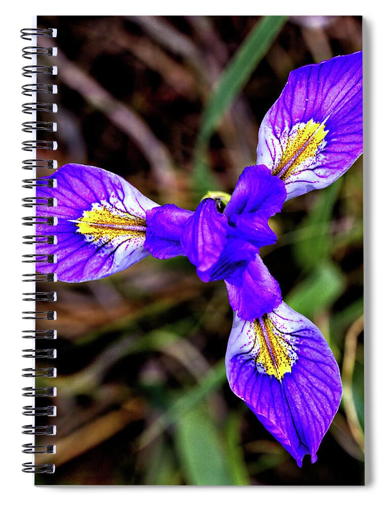 Flower Spiral Notebook featuring the photograph Blue Iris by Bob Falcone