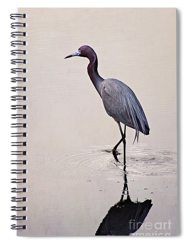Little Blue Heron Spiral Notebook featuring the photograph Blue Mood by Hilda Wagner