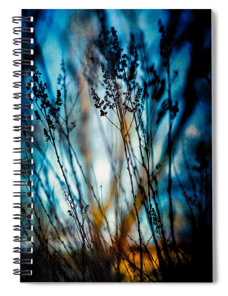 Plant Spiral Notebook featuring the photograph Blue mood by Yasmina Baggili