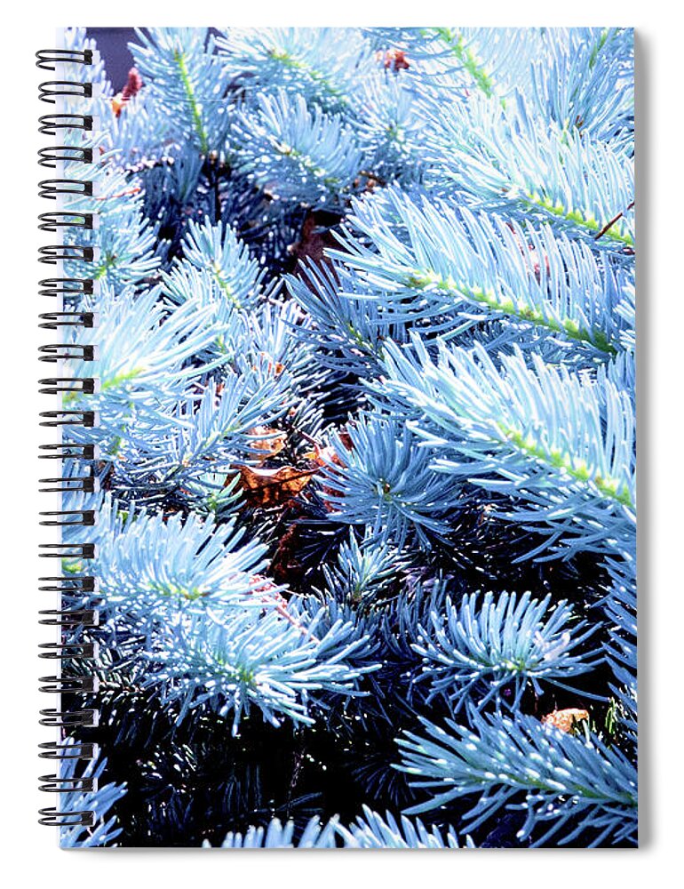 Art Spiral Notebook featuring the photograph Blue Pine Needles by David Desautel
