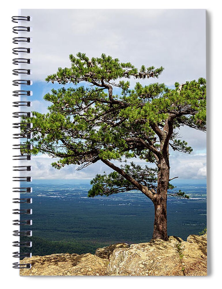 2020 Spiral Notebook featuring the photograph Blue Ridge Parkway-2 The Sentinel by Charles Hite