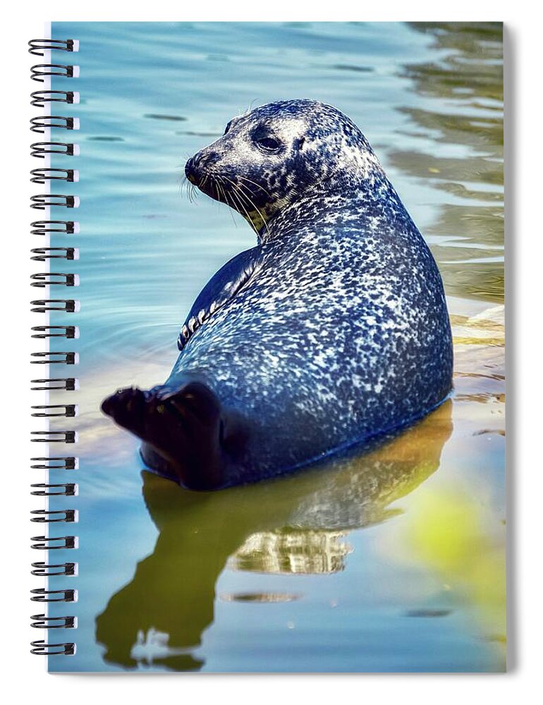Seal Spiral Notebook featuring the photograph Bluebell by Shannon Kelly