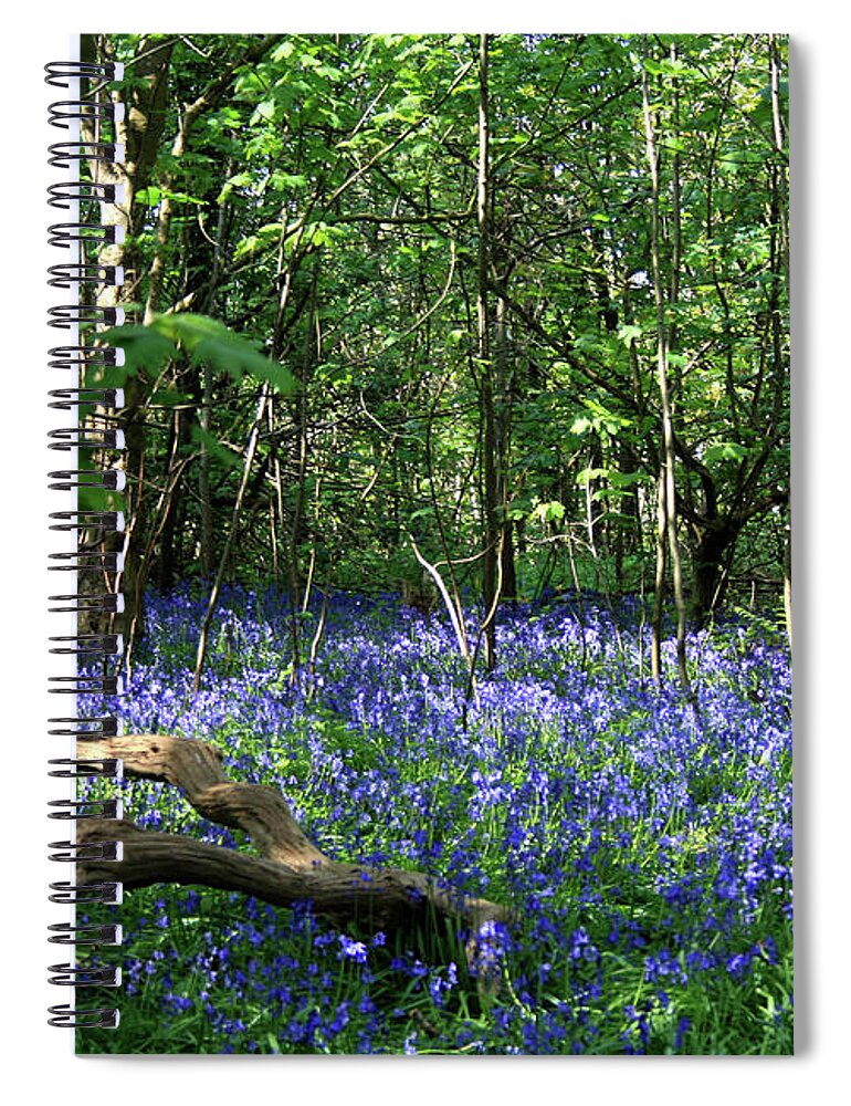 Bluebells Spiral Notebook featuring the photograph Bluebell Wood by Judith Rowe