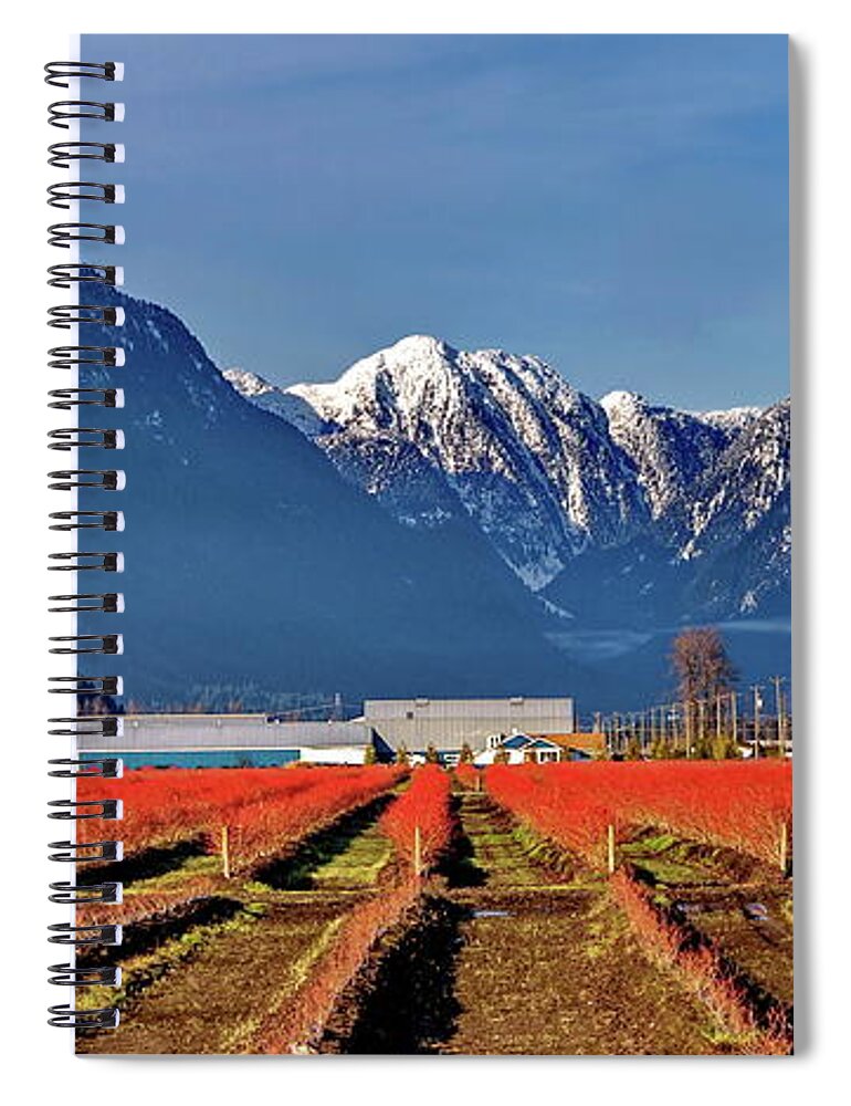 Alex Lyubar Spiral Notebook featuring the photograph Blueberry plantation in a mountain valley by Alex Lyubar
