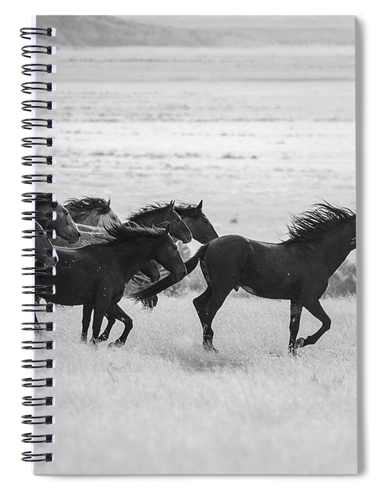  Wild Horses Spiral Notebook featuring the photograph BnW Run in the Wind by Dirk Johnson