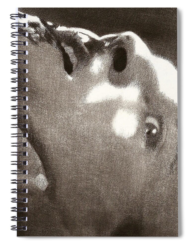 Charcoal Spiral Notebook featuring the drawing Bob by Mark Baranowski
