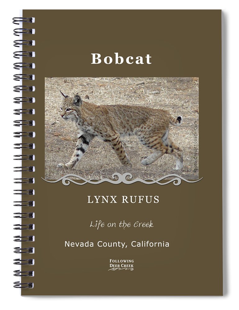 Bobcat Spiral Notebook featuring the digital art Bobcat by Lisa Redfern