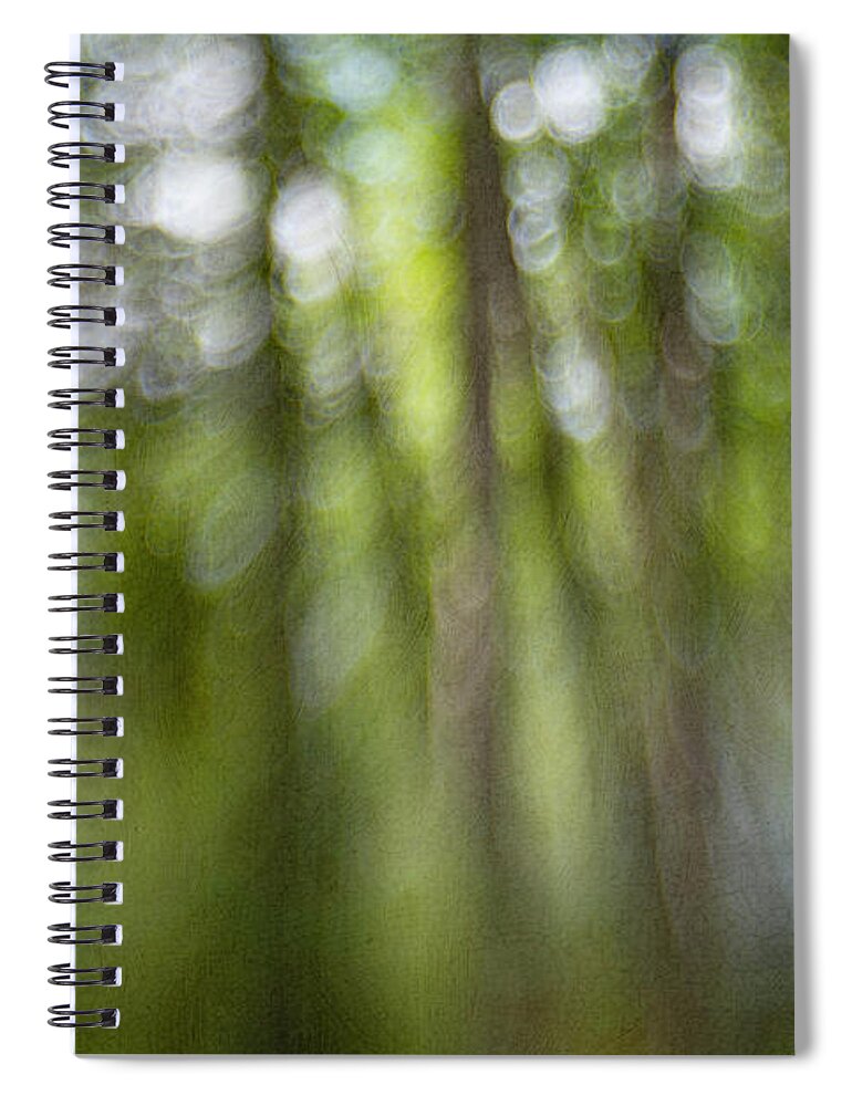 Abstract Spiral Notebook featuring the photograph Bohek Forest by Priska Wettstein