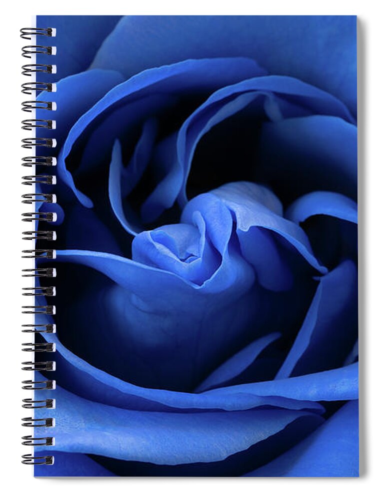 Rose Spiral Notebook featuring the photograph Bold Blue Rose by Tina Horne
