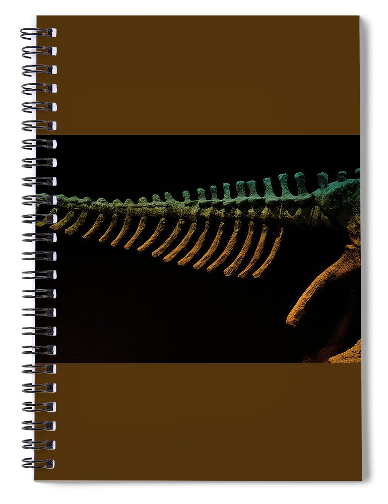 Science Spiral Notebook featuring the photograph Bones by Cynthia Dickinson