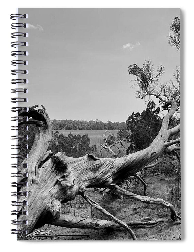 Tree Spiral Notebook featuring the photograph Bones on the Savannah BW by Lee Darnell