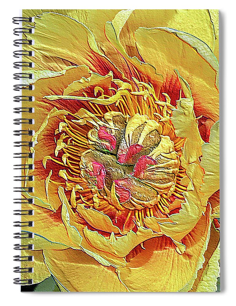 Border Charm Peony Spiral Notebook featuring the photograph Border Charm Peony by Jeanette French