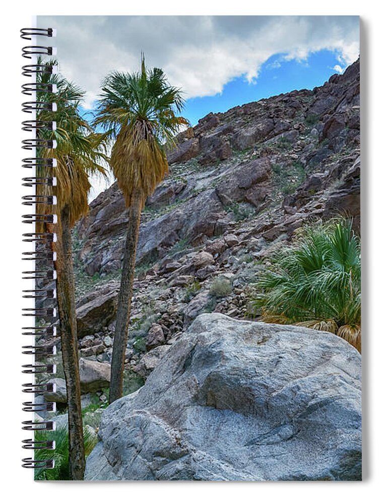 Anza Borrego Desert State Park Spiral Notebook featuring the photograph Borrego Palm Canyon by Kyle Hanson