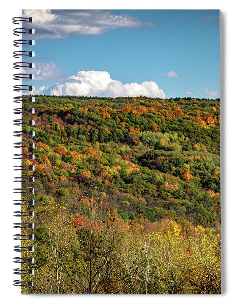 Nature Spiral Notebook featuring the photograph Botsford Nature Preserve 44 by William Norton