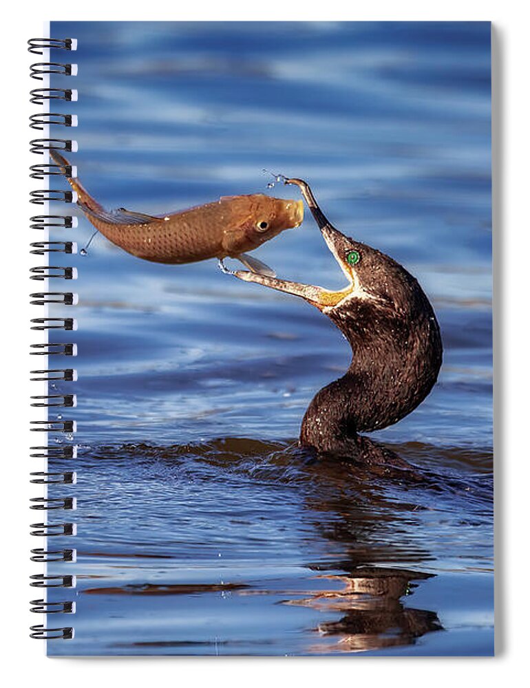 Arboretum Spiral Notebook featuring the photograph Bottoms Up by Rick Furmanek