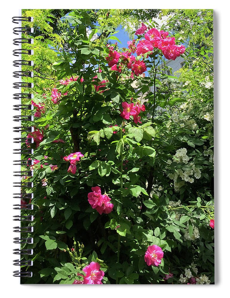 Bouquet Spiral Notebook featuring the photograph A Dozen Roses by Albert Massimi