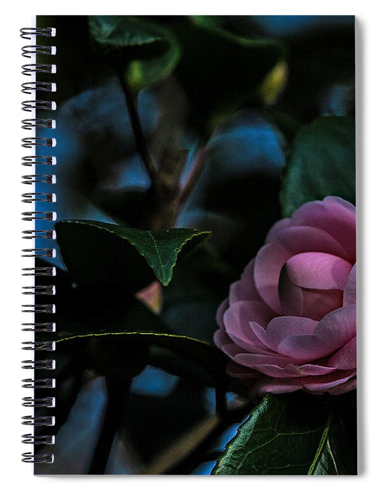 Boutonniere Prints Spiral Notebook featuring the photograph Boutonniere by John Harding