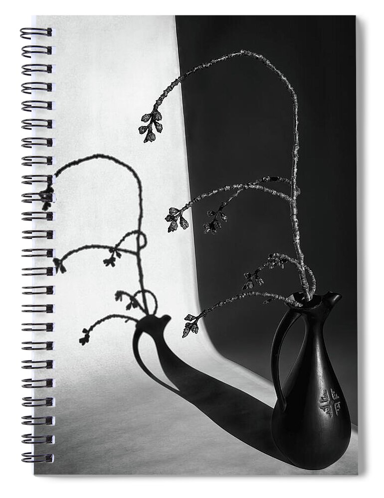 Branch Spiral Notebook featuring the photograph Branch, Vase And Shadow by Elvira Peretsman