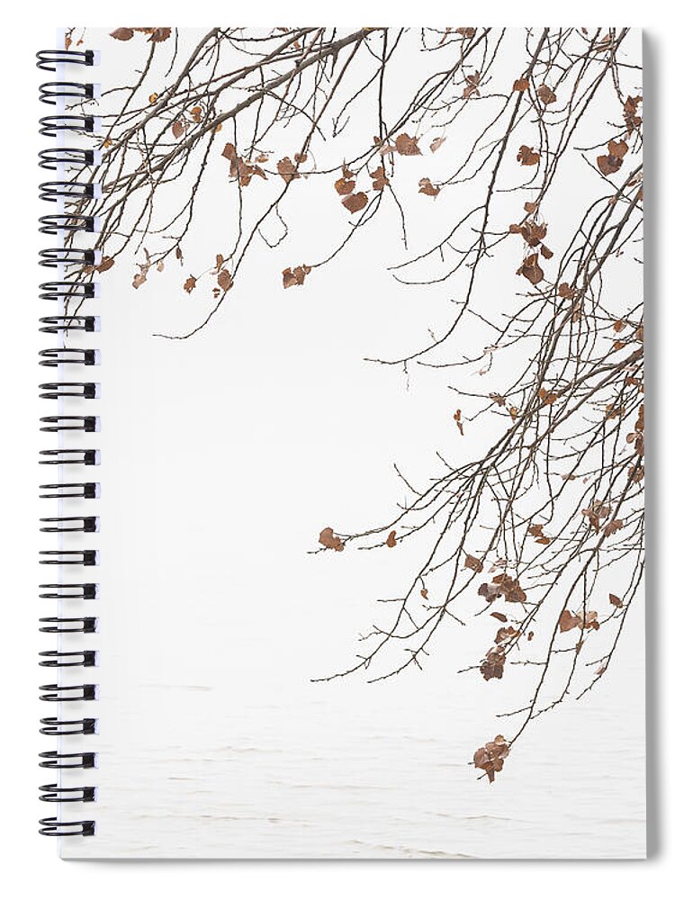 Bosque Del Apache Spiral Notebook featuring the photograph Branches by Maresa Pryor-Luzier