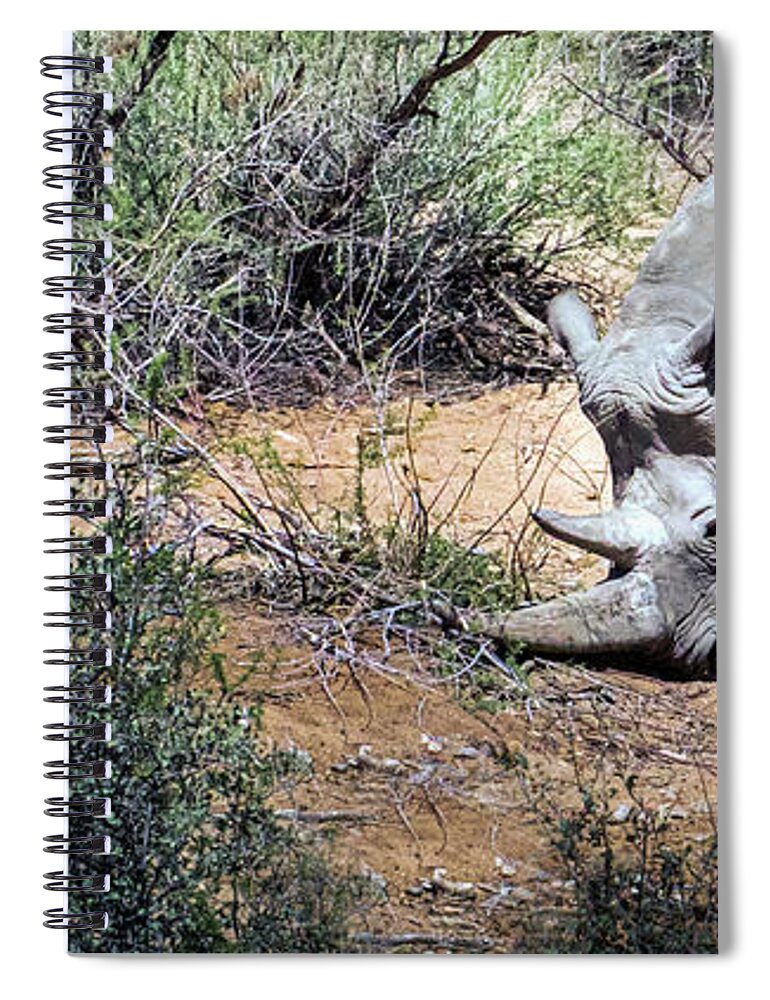 Wildlife Spiral Notebook featuring the photograph Brave Warrior by Laura Putman