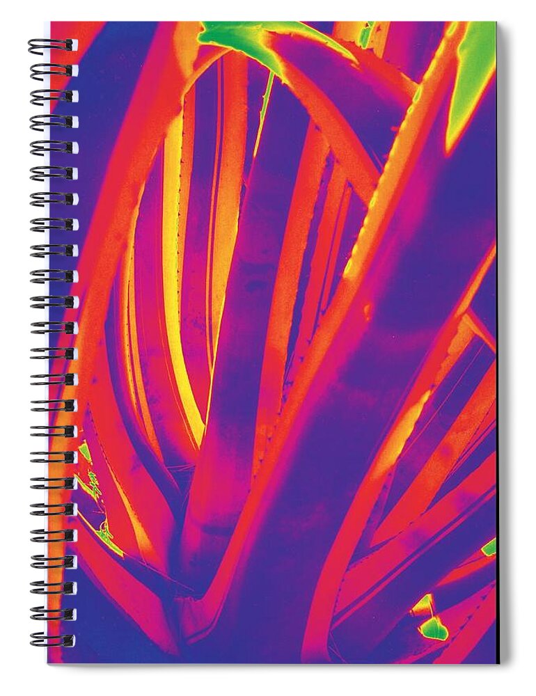 Cactus Spiral Notebook featuring the photograph Bright Cactus by Vivian Aumond