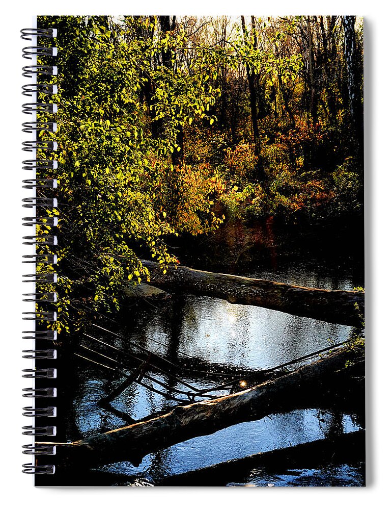 Tranquil Spiral Notebook featuring the photograph Broad Run Autumn No. 1 by Steve Ember