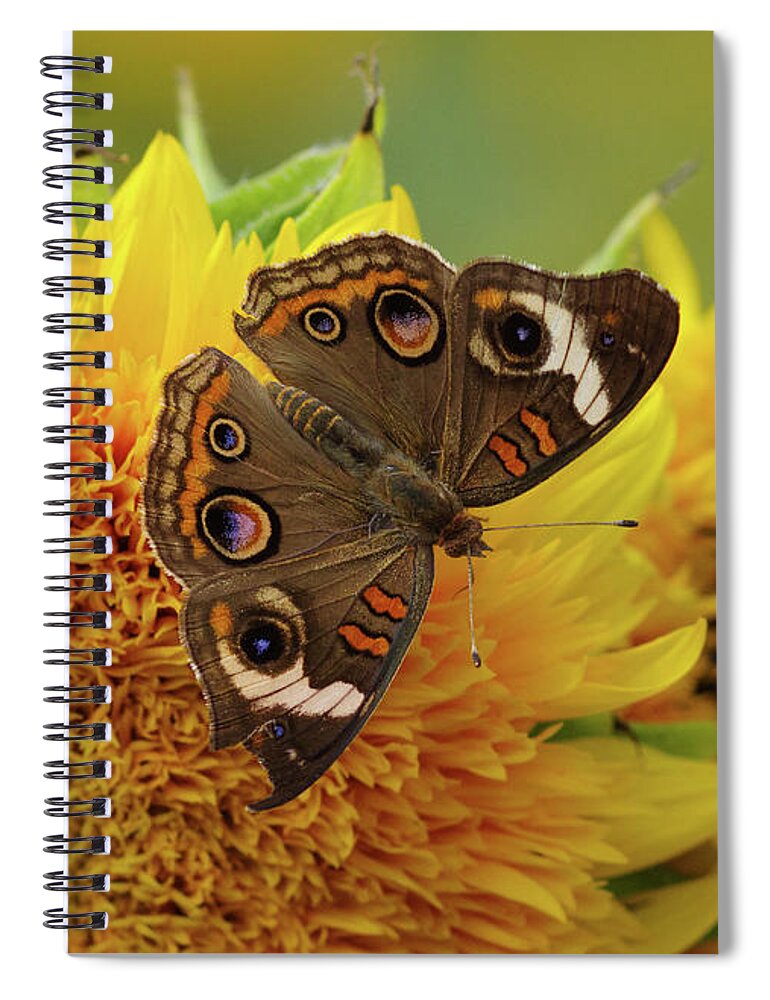 Butterfly Spiral Notebook featuring the photograph Broken Wing by Grant Twiss