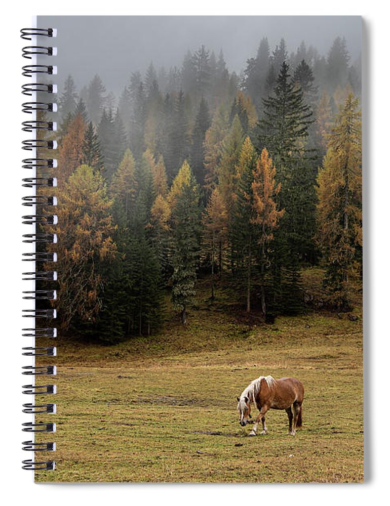 Idyllic Landscape Spiral Notebook featuring the photograph Brown and black horses in the field. South Tyrol Italy by Michalakis Ppalis