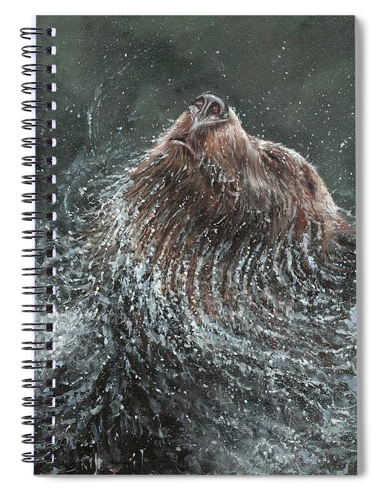 Bear Spiral Notebook featuring the painting Brown Bear Splash and Shake by David Stribbling