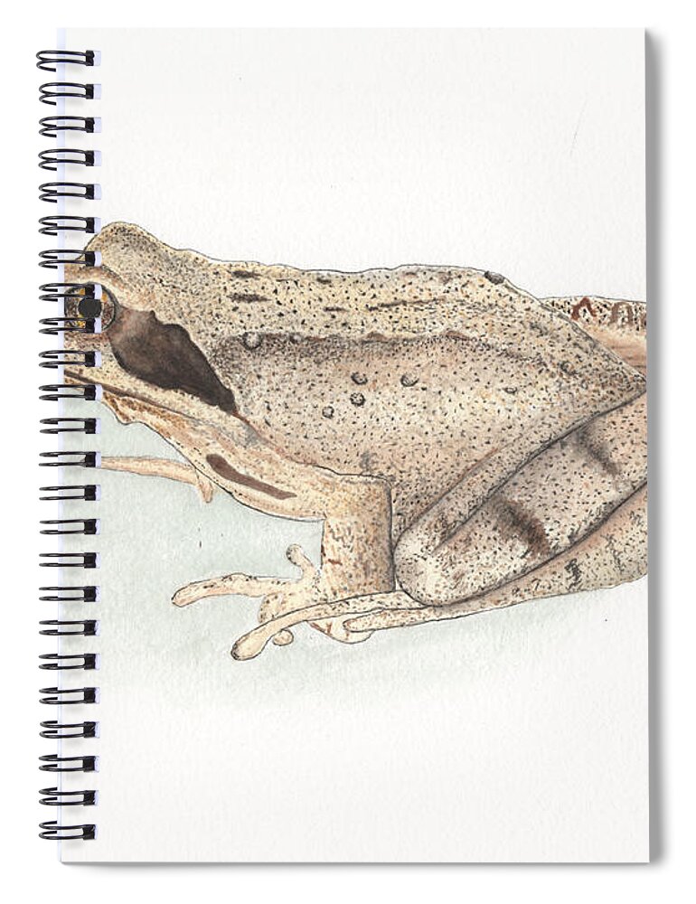 Brown Frog Spiral Notebook featuring the painting Brown Frog #2 by Bob Labno