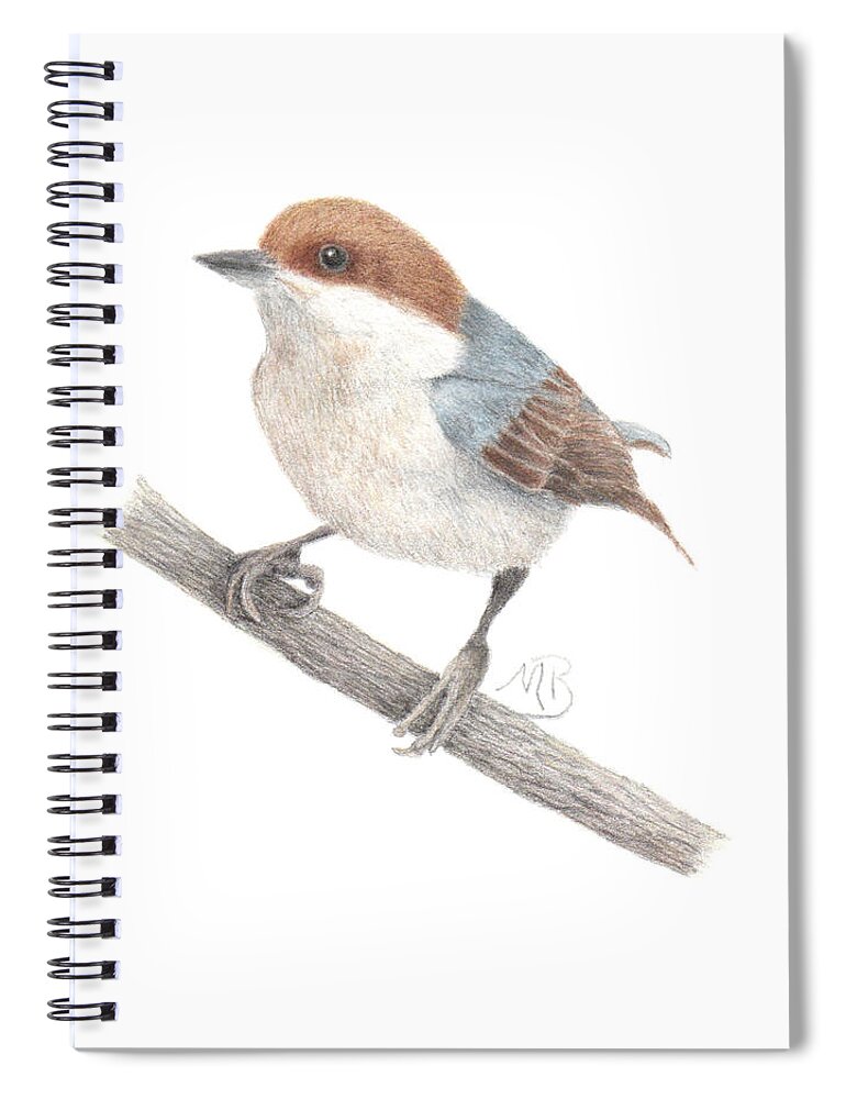 Bird Art Spiral Notebook featuring the painting Brown-Headed Nuthatch by Monica Burnette