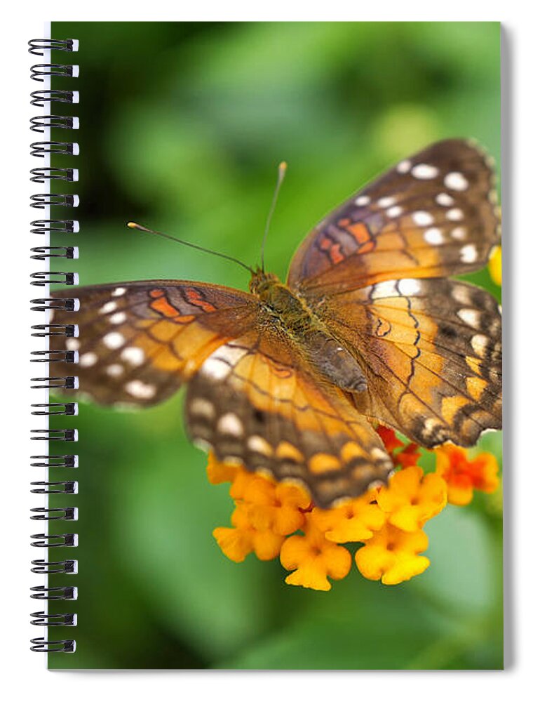 Butterfly Spiral Notebook featuring the photograph Brown Peacock Butterfly by Rona Black