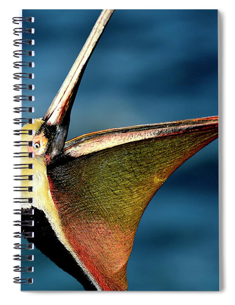 Birds Spiral Notebook featuring the photograph Brown Pelican Head Throw 2021 by John F Tsumas
