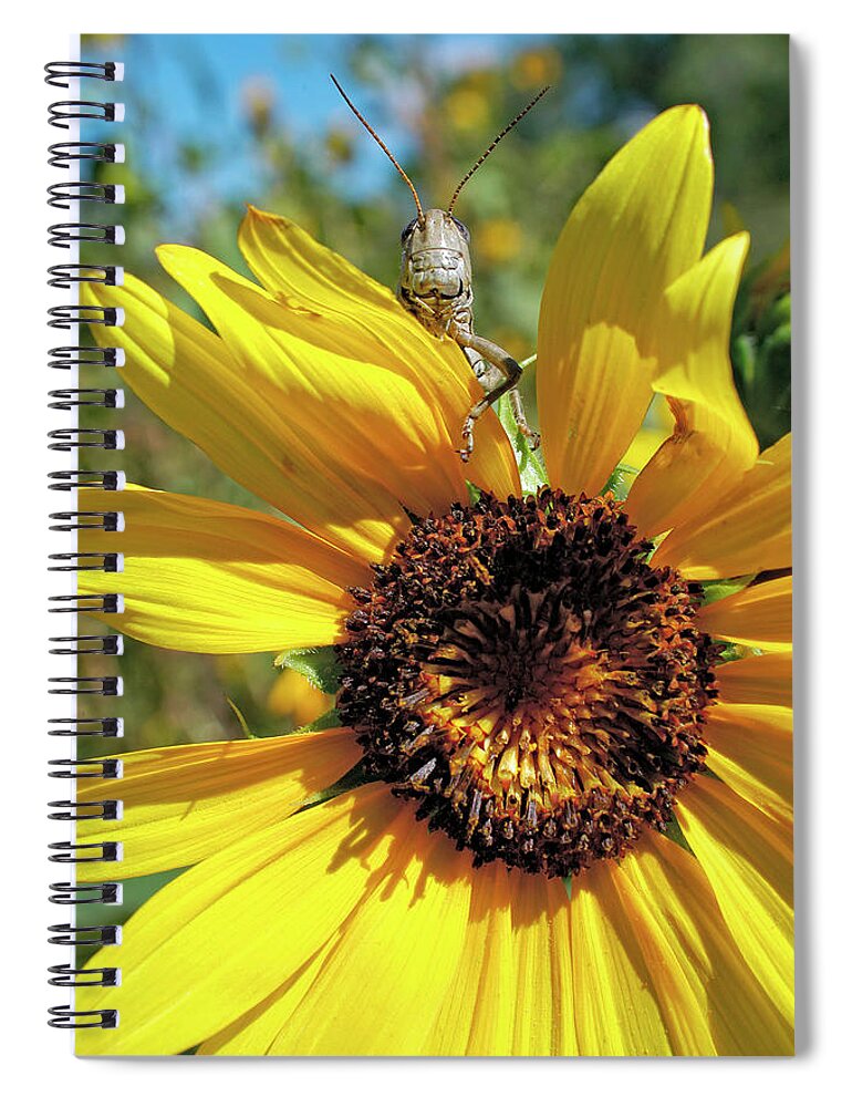 Enlightened Animal Spiral Notebook featuring the digital art Brunch by Becky Titus