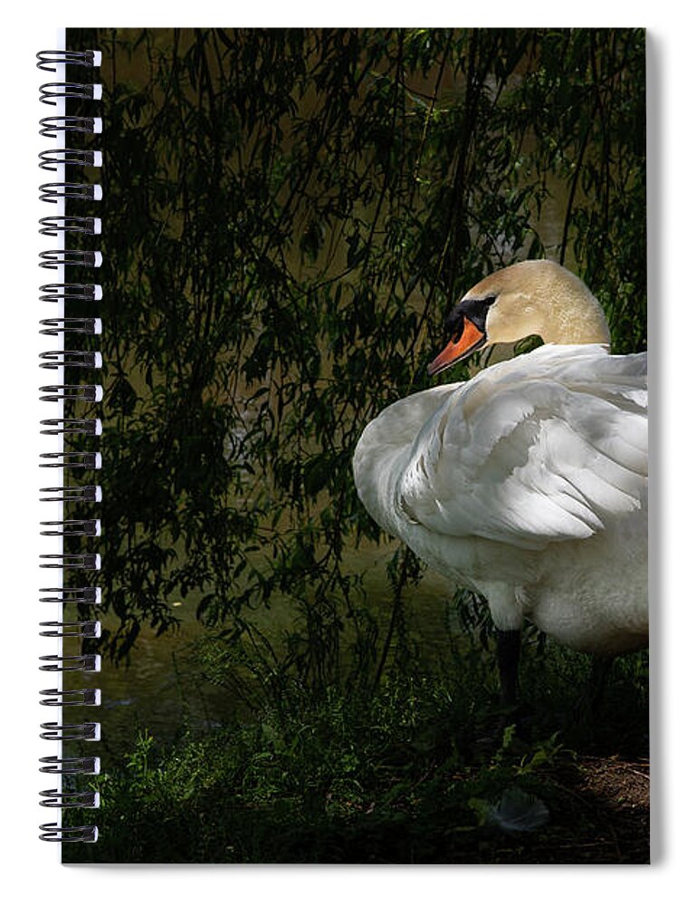 Whistling Gardens Spiral Notebook featuring the photograph Brutus on the Bank by Marilyn Cornwell