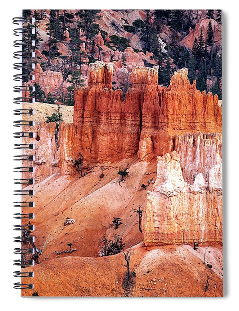 2020 Utah Trip Spiral Notebook featuring the photograph Bryce Canyon Hoodoos by Gary Johnson
