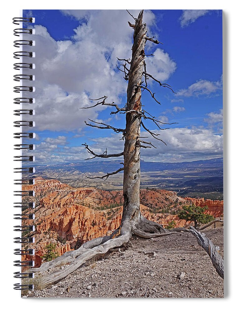 Bryce Canyon National Park Spiral Notebook featuring the photograph Bryce Canyon National Park - Still standing by Yvonne Jasinski