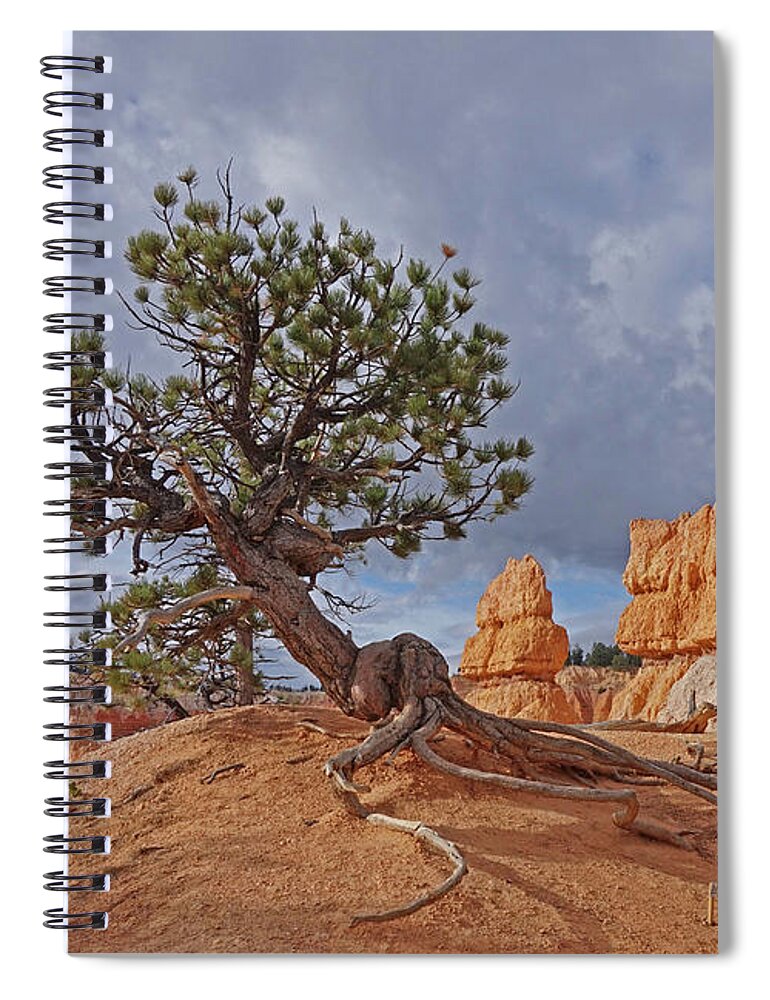 Bryce Canyon National Park Spiral Notebook featuring the photograph Bryce Canyon National Park - Nothing can't break me by Yvonne Jasinski