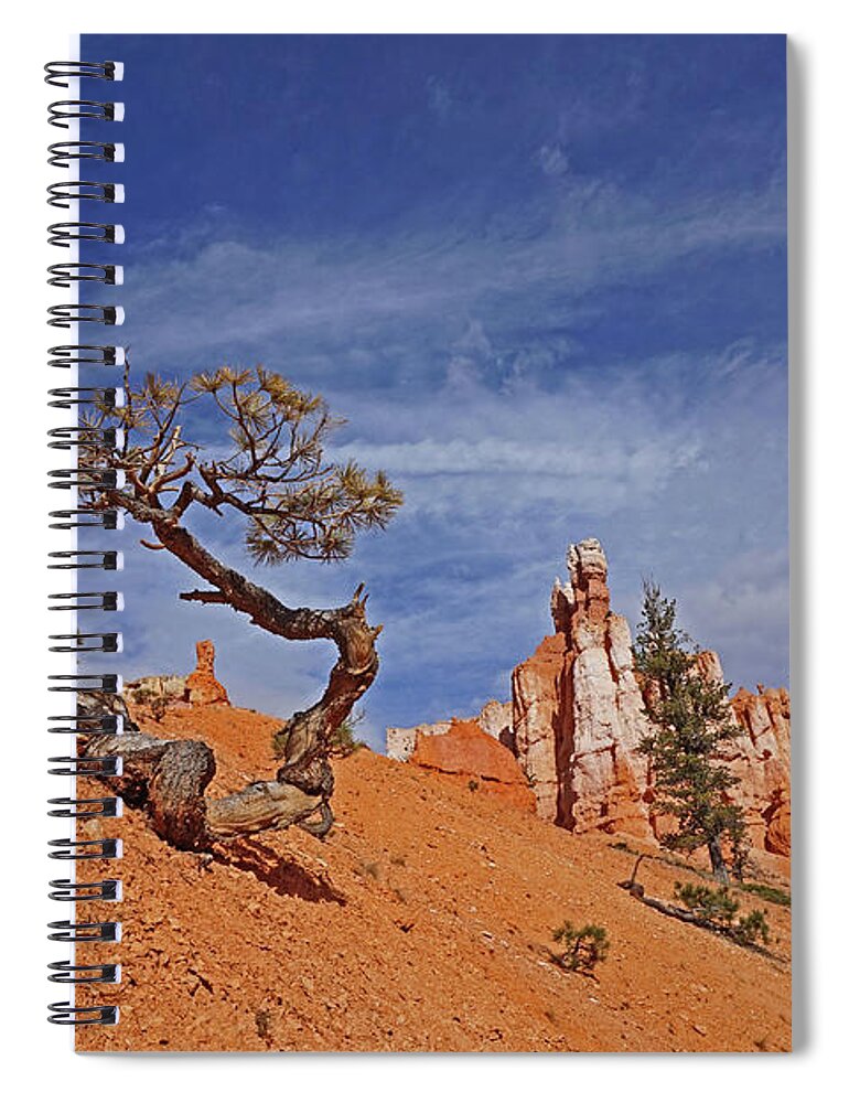 Bryce Canyon National Park Spiral Notebook featuring the photograph Bryce Canyon National Park - Shaped by the Wind by Yvonne Jasinski