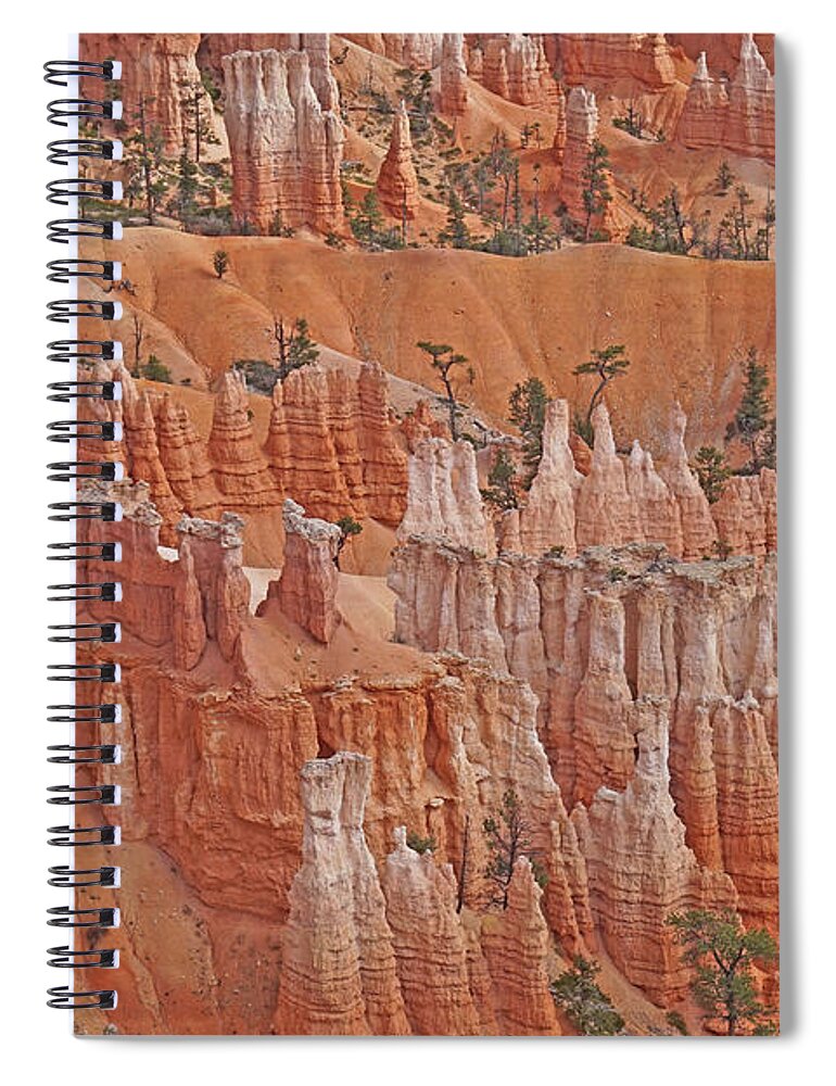 Bryce Canyon National Park Spiral Notebook featuring the photograph Bryce Canyon National Park - Hoodoos Closeup by Yvonne Jasinski