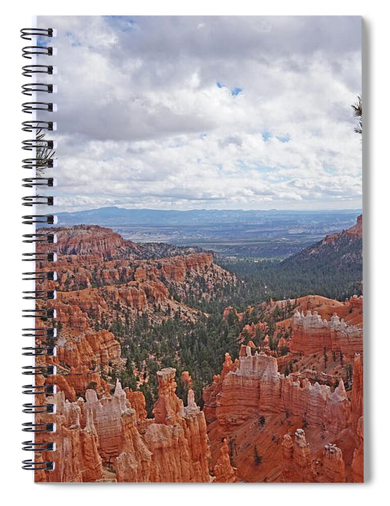 Bryce Canyon National Park Spiral Notebook featuring the photograph Bryce Canyon National Park - Panorama with Branches by Yvonne Jasinski