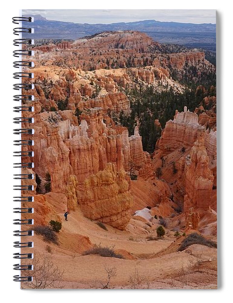 Bryce Canyon National Park Spiral Notebook featuring the photograph Bryce Canyon National Park - Hiking Trail by Yvonne Jasinski
