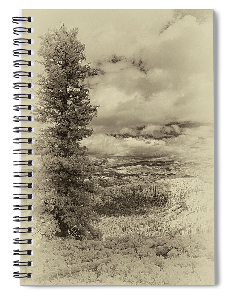 Bryce Spiral Notebook featuring the photograph Bryce Canyon Overlook by Jim Cook