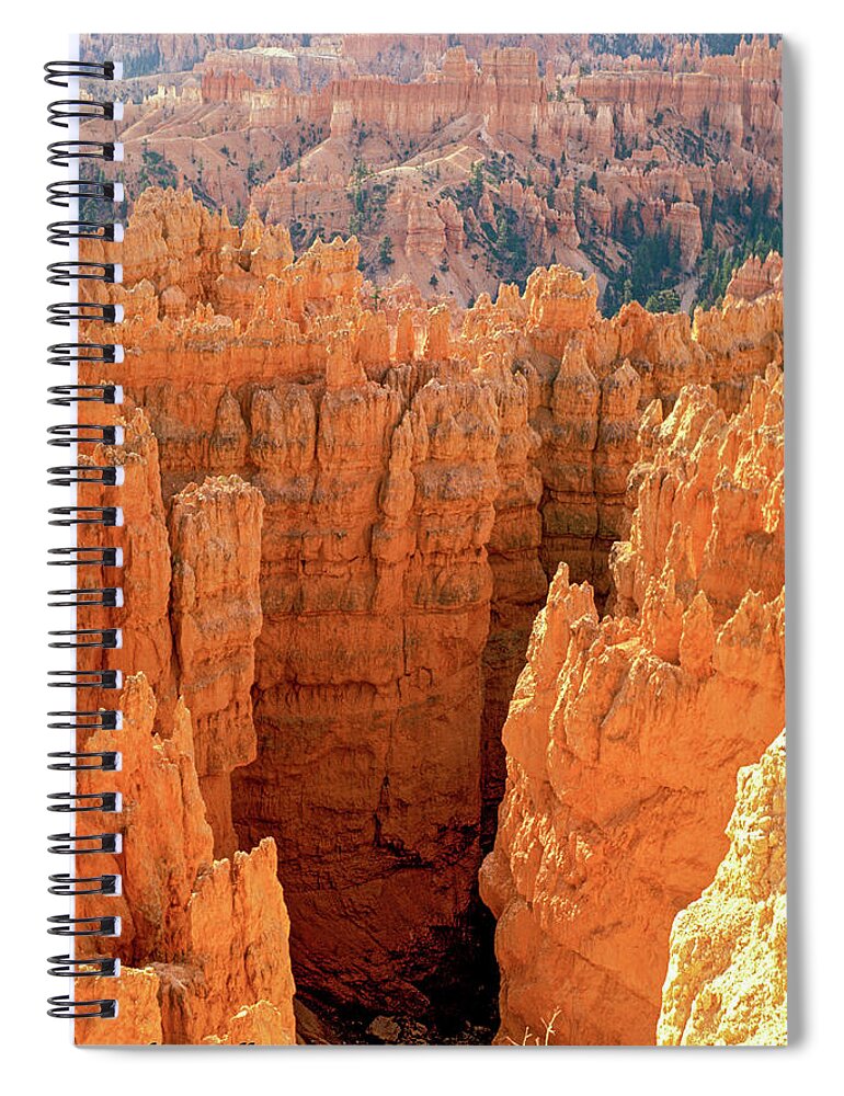 Usa Spiral Notebook featuring the photograph Bryce Canyon by Randy Bradley
