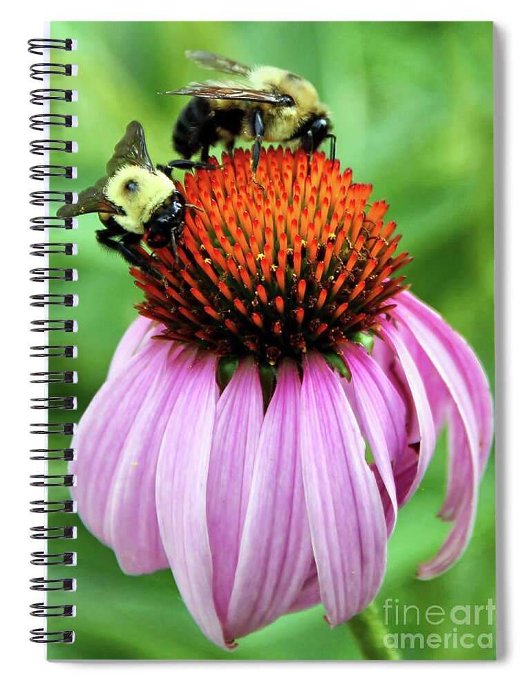 Flower Spiral Notebook featuring the photograph Bubble Bees by Tom Watkins PVminer pixs
