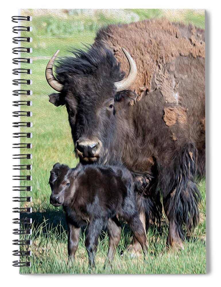 Buffalo And Baby Beefalo Spiral Notebook featuring the digital art Buffalo and baby Beefalo by Tammy Keyes